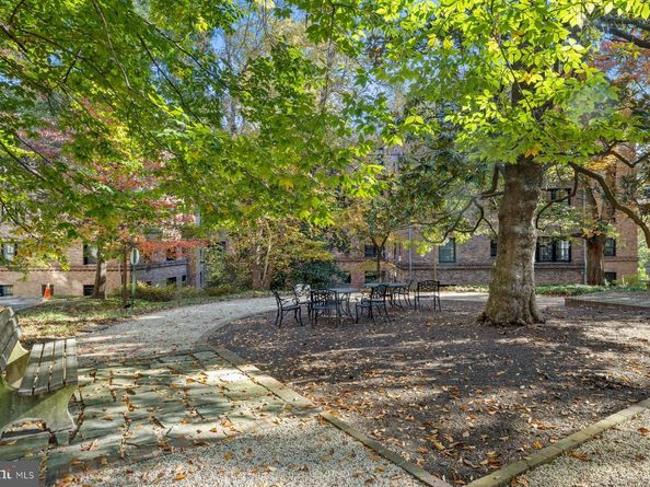 3000 Tilden Street NW 301, Washington DC 20008