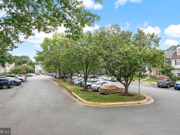 6542 Cypress Point Road, Alexandria VA 22312