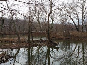 5 Ericsson Road, Cabin John MD 20818