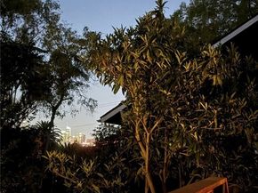 2207 Apex Avenue, Los Angeles CA 90039