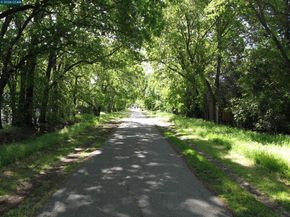 50 Vista Ln, Alamo CA 94507