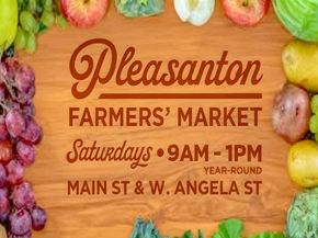 297 Del Valle Ct, Pleasanton CA 94566