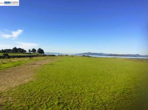 1250 Powell St 10, Emeryville CA 94608