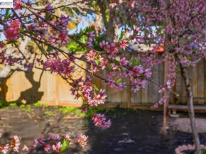 1565 Mendoza Ct, Pleasanton CA 94566