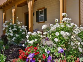 193 Lucy Ln, San Ramon CA 94582