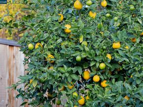 4508 Stevenson Blvd, Fremont CA 94538