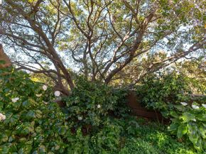 1 Kelton Ct 2D, Oakland CA 94611