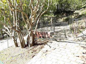 918 Anita, Lafayette CA 94549