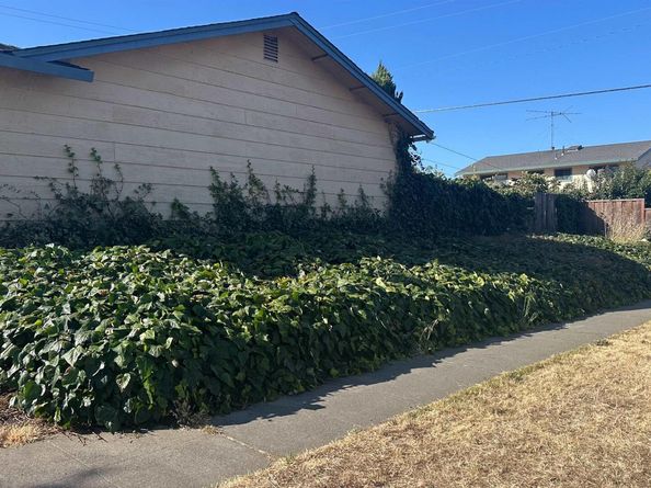 2085 Ashwood Ln, San Jose CA 95132