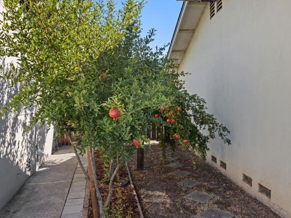 1241 Hibiscus Way, Livermore CA 94551
