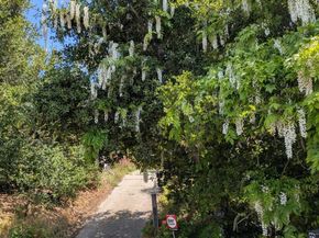 7618 Sunkist Dr, Oakland CA 94605