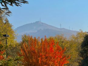 5095 Valley Crest Dr 308, Concord CA 94521