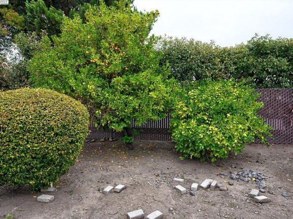 25512 Tarman Ave, Hayward CA 94544