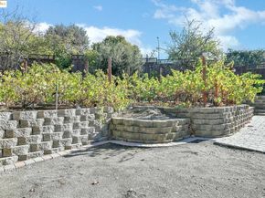 5205 Forrestgreen Ct, Concord CA 94521