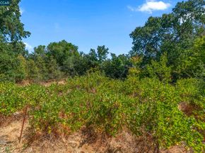 1910 San Miguel Dr, Walnut Creek CA 94596