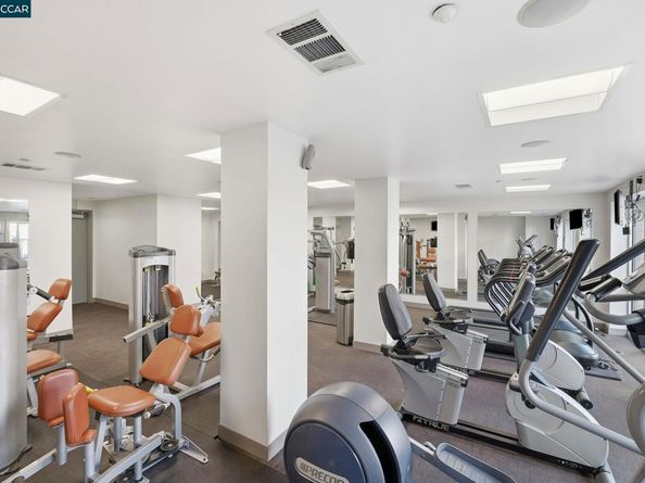 1655 N California Blvd. 214, Walnut Creek CA 94596