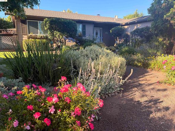 4627 Regina Lane, Concord CA 94521