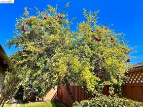 3115 Marvelle Ln, Concord CA 94518