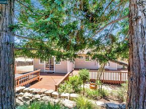 631 La Vista Rd, Walnut Creek CA 94598