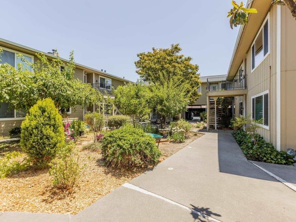 1965 Ascot Dr 6, Moraga CA 94556