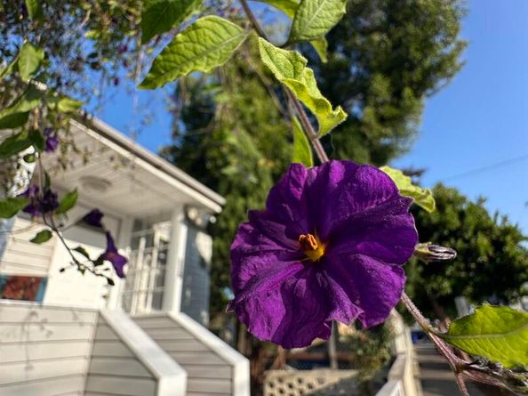 120 16Th St, Richmond CA 94801