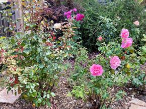 4091 Garden Rd, El Sobrante CA 94803
