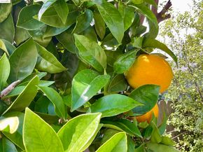 4091 Garden Rd, El Sobrante CA 94803