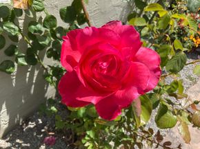 4091 Garden Rd, El Sobrante CA 94803