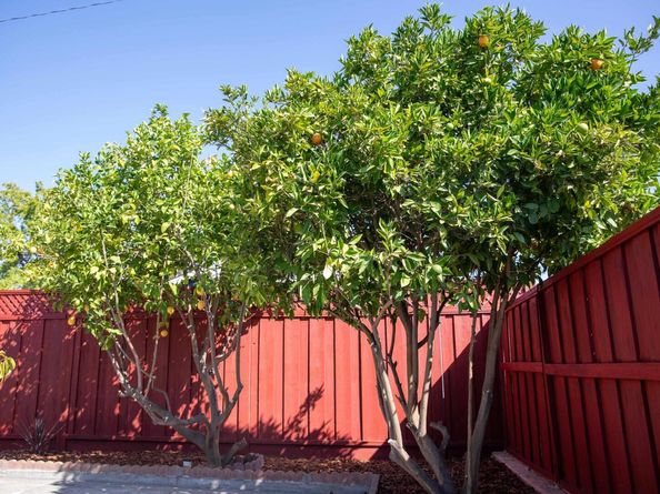4001 Ross Park Dr., San Jose CA 95118