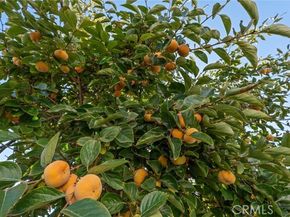 7422 Kyle Court, West Hills (los Angeles) CA 91307