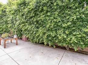 7129 Forbes Avenue, Van Nuys (los Angeles) CA 91406