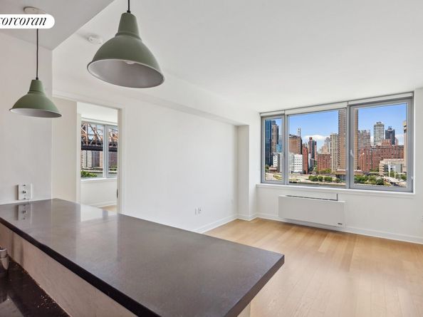 425 Main Street 16E, New York NY 10044