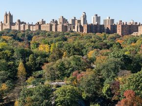 1280 5th Avenue 19C, New York NY 10029