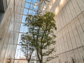 565 Broome Street S8B, New York NY 10013