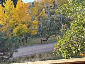 643 Aspen Road, Golden CO 80401