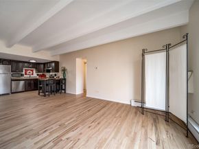 33 N Corona Street 205, Denver CO 80218