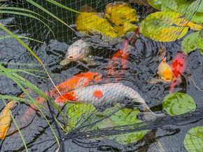 8024 S Cody Street, Littleton CO 80128