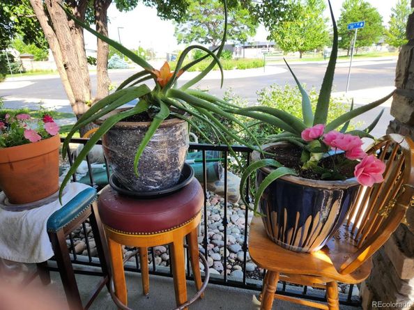 15296 W 66th Drive G, Arvada CO 80007