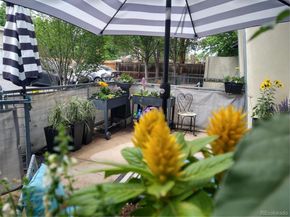1421 Oneida Street 3, Denver CO 80220