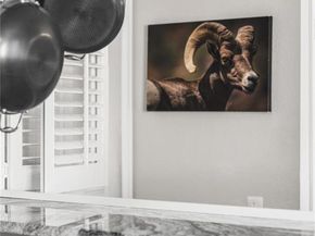 16066 E Ithaca Place B, Aurora CO 80013