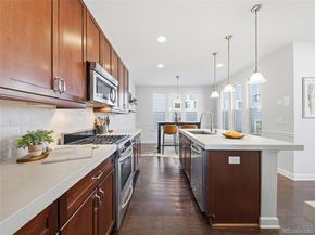 3656 Akron Street, Denver CO 80238