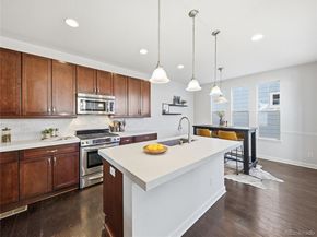 3656 Akron Street, Denver CO 80238