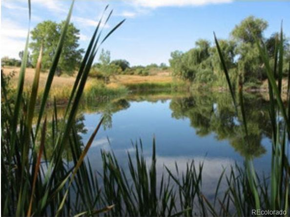 7784 Lewis Street, Arvada CO 80005