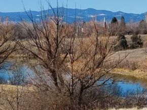 7784 Lewis Street, Arvada CO 80005
