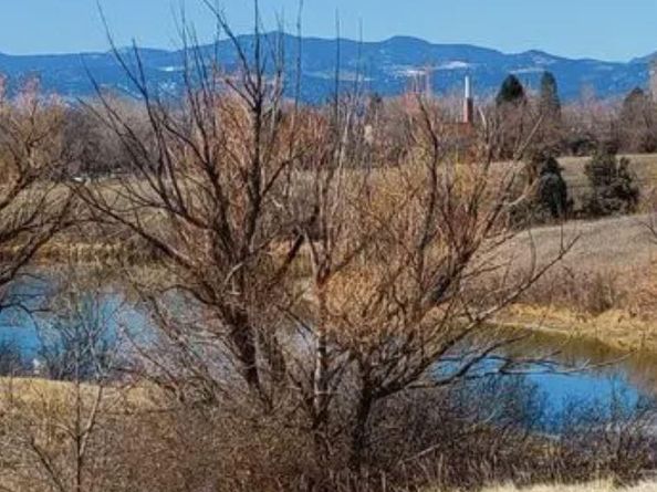 7784 Lewis Street, Arvada CO 80005