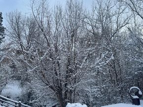 6305 W 6th Avenue D16, Lakewood CO 80214