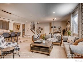 14115 Blue Stem Street, Broomfield CO 80020