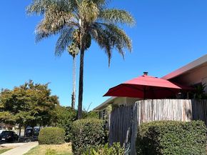 494 Greendale Way, San Jose CA 95129