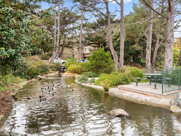 381 Half Moon Lane 213, Daly City CA 94015