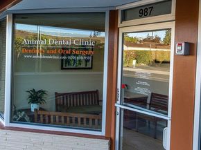 987 Laurel Street, San Carlos CA 94070